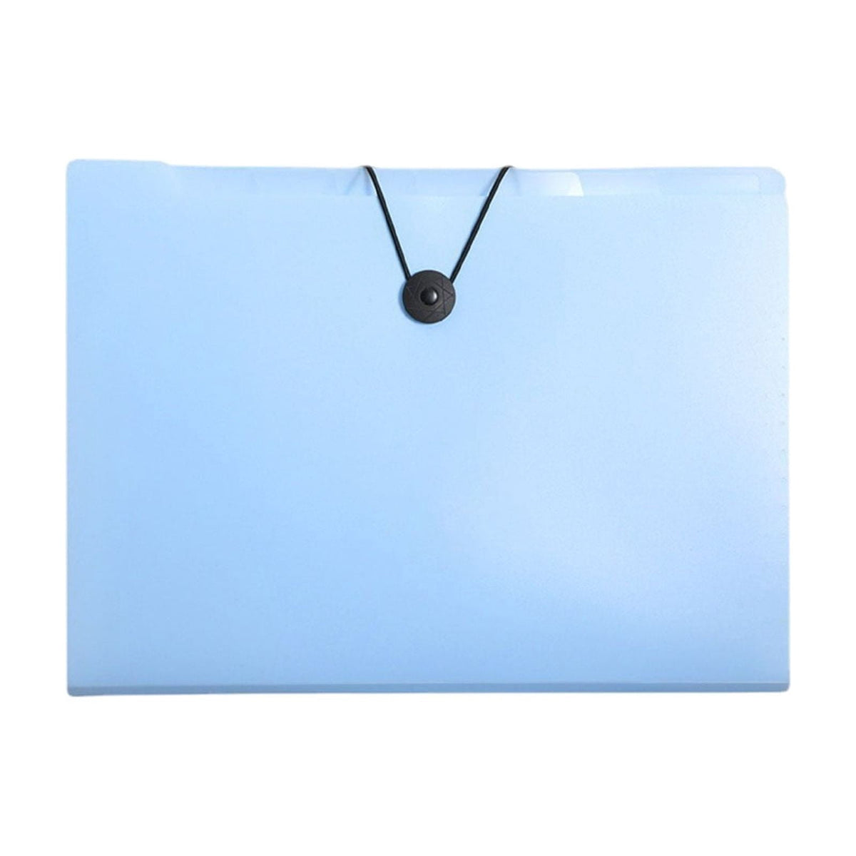 Accordion File Folder with 8 Pockets, Letter and A4 Document Organizer